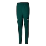 Calça do Palmeiras 2023 Jogador Puma - Masculina VERDE