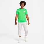 Camisa Nigéria I 2023/24 Torcedor Pro Nike - Masculina VERDE