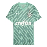 Camisa de Goleiro do Palmeiras Puma II 24/25 Torcedor - Masculina VERDE