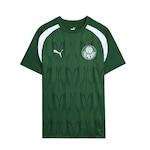 Camisa do Palmeiras 2024 Pré-Jogo Puma - Masculina VERDE