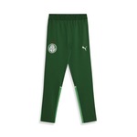 Calça do Palmeiras Torcedor 2024 Puma - Masculina VERDE ESC/VERDE CLA