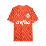 Camisa de Goleiro 3 do Palmeiras Third Jogador 24/25 Puma - Masculina LARANJA