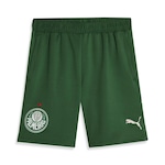 Calção do Palmeiras 2024 Puma - Masculino VERDE ESC/VERDE CLA