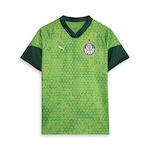 Camisa do Palmeiras 2024 Treino e Viagem - Masculina VERDE