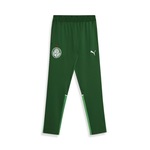 Calça do Palmeiras 2024 Puma - Masculina VERDE CLA/VERDE