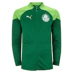 Jaqueta do Palmeiras Sem Capuz Treino 2024 Puma - Masculina VERDE