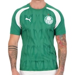 Camisa do Palmeiras 1 2024 Puma Pre Jogo - Masculina VERDE