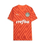 Camisa de Goleiro do Palmeiras 3 Third 2024 Torcedor Puma - Masculina LARANJA