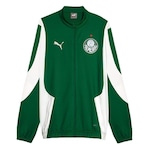 Jaqueta sem Capuz do Palmeiras 2024 Pré-Jogo Puma - Masculina VERDE/BRANCO