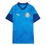 Camisa do Palmeiras 2024 Puma Treino e Viagem - Masculina AZUL