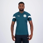 Camisa do Palmeiras Treino 2023 Puma - Masculina VERDE