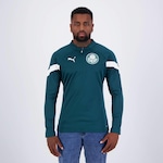 Camiseta Manga Longa do Palmeiras Training Fleece Puma - Masculina VERDE