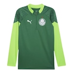 Camiseta Manga Longa Puma Palmeiras 1/4 Zip 2024 - Masculina VERDE