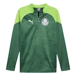 Camiseta Manga Longa Puma Palmeiras Fleece 2024 - Masculina VERDE