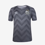 Camisa do Santos 2024 Umbro Goleiro Oficial - Masculina CINZA