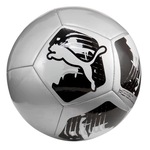 Bola de Futebol de Campo Puma Big Cat PRATA