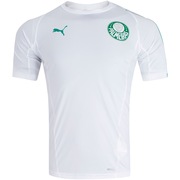 Camisa de Treino do Palmeiras 2019 Puma - Masculina