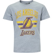Camiseta NBA Los Angeles Lakers Team Arch - Infantil