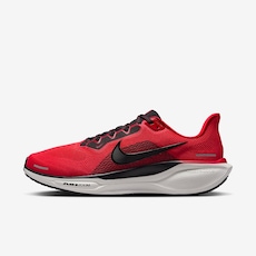 Tênis Nike Pegasus 41 - Masculino
