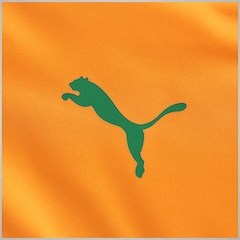 Camisa de Treino Costa do Marfim 2016 Puma - Masculina - Foto 4