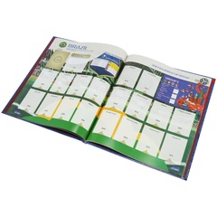 Álbum de Figurinhas Panini Copa da Rússia 2018 - Álbum Capa Dura + 60 Figurinhas - Foto 8