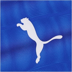 Kit do Palmeiras com Gravura e Camisa Edição Especial Libertadores 1999 Puma - Masculina - Foto 6