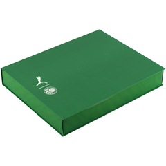 Kit do Palmeiras com Gravura e Camisa Edição Especial Libertadores 1999 Puma - Masculina - Foto 13