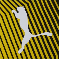 Camisa de Treino Borussia Dortmund 19/20 Puma - Masculina - Foto 5
