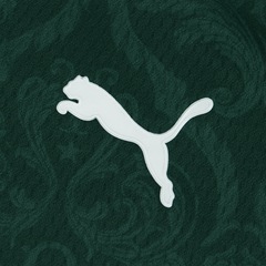 Camisa de Treino do Palmeiras I 20 Puma - Infantil - Foto 4