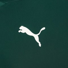 Agasalho do Palmeiras Tracksuit 2020 Puma - Masculino - Foto 11