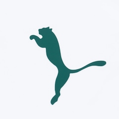 Camiseta do Palmeiras Goal Puma - Masculina - Foto 4