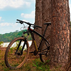 Mountain Bike Caloi Moab - Aro 29 - Freio a Disco Hidráulico - Câmbio Traseiro Shimano Alivio - Foto 14