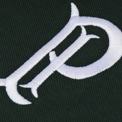 Camisa Polo do Palmeiras Masculina XPS Sports Piquet - Foto 3
