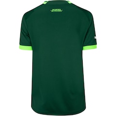 Camisa do Palmeiras I 23 Puma - Feminina - Video 1