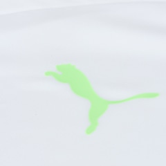 Camisa de Treino do Palmeiras 23 Puma Masculina Torcedor - Foto 9