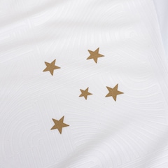 Camiseta do Cruzeiro Bio Braziline Masculina - Foto 3