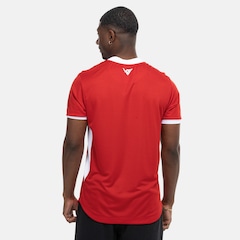 Camisa do Vila Nova I 25 Torcedor Volt Masculina - Foto 3