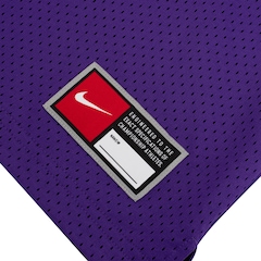 Camiseta Regata Nike NBA Los Angeles Lakers 25/26 Masculina - Foto 6