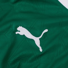 Camisa do Palmeiras I 25/26 Puma Torcedor - Fictor - Masculina - Foto 4