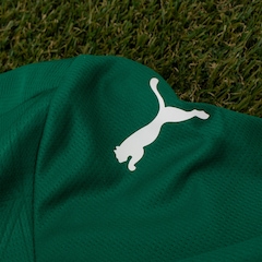 Camisa do Palmeiras I 25/26 Puma Torcedor - Fictor - Masculina - Video 1