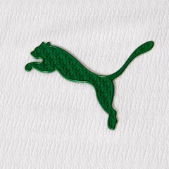 Camisa do Palmeiras II 26/27 Puma Jogador Masculina - Foto 4
