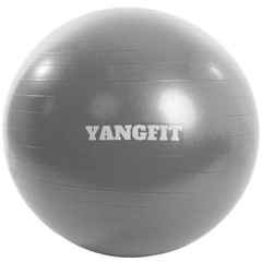 Bola de Pilates Suíça YangFit com Bomba de Encher - 55cm - Foto 1
