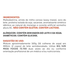 Hipercalórico Big Size Mass 72.700 BRN Foods - 6Kg - Foto 2