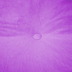 Colchonete Orthovida Futon Sport Camping Dobrável D20 - 180x60x7cm - Foto 2