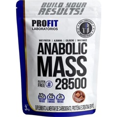 Combo 2 Hipercalorico Profit Anabolic Mass 28500 - Morango - 3kg + 2 Coqueteleira - Foto 2