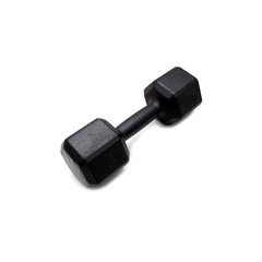 Dumbbell Sextavado Iniciativa Fitness Pintado - 28Kg - Unidade - Foto 1