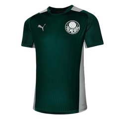 Camiseta do Palmeiras Puma Manga Curta SEP Training Jersey - Masculina - Foto 1
