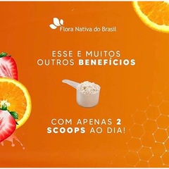 6x Colágeno Verisol Com Ácido Hialurônico 250g Flora Nativa - Foto 8