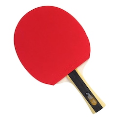 Raquete de Tênis de Mesa DHS Clássica H1002 ITTF Approved 1 Estrela - Foto 1