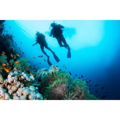 Kit para Mergulho Nautika Skuba Respirador e Mascara Adulto - Foto 3